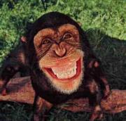 monkey face.JPG